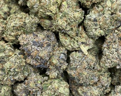 ROTTWEILER PINK (MEGA GAS) - Image 5